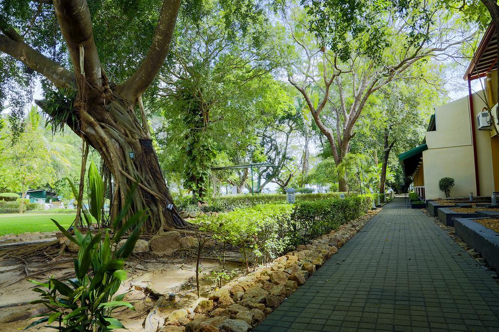 Miridiya Lake Resort Anuradhapura Eksteriør billede