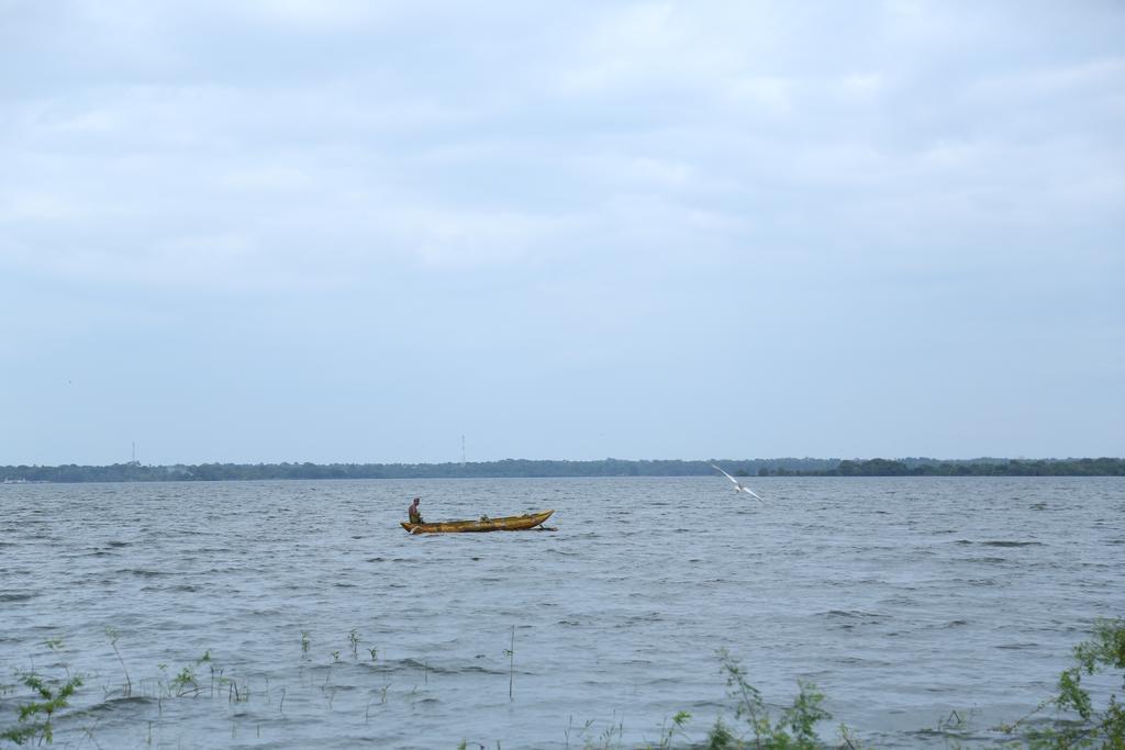Miridiya Lake Resort Anuradhapura Eksteriør billede